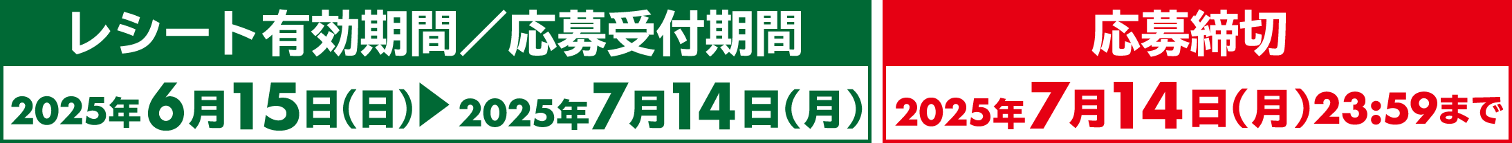 レシート有効期限/応募受付期間　応募締切
